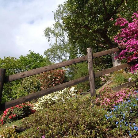 Dwy Olwyn Hotel Dolgellau Luaran gambar