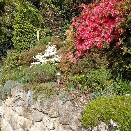 Dwy Olwyn Hotel Dolgellau Luaran gambar