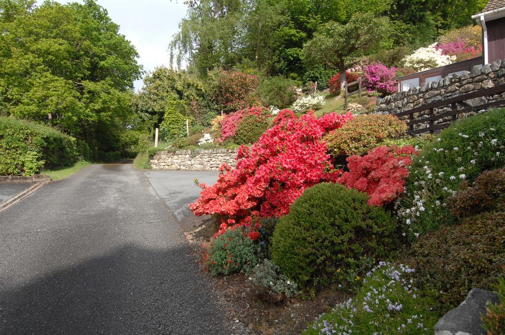 Dwy Olwyn Hotel Dolgellau Luaran gambar