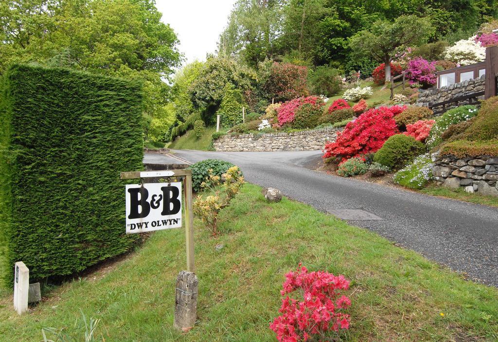 Dwy Olwyn Hotel Dolgellau Luaran gambar