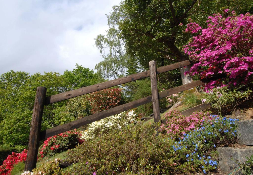 Dwy Olwyn Hotel Dolgellau Luaran gambar