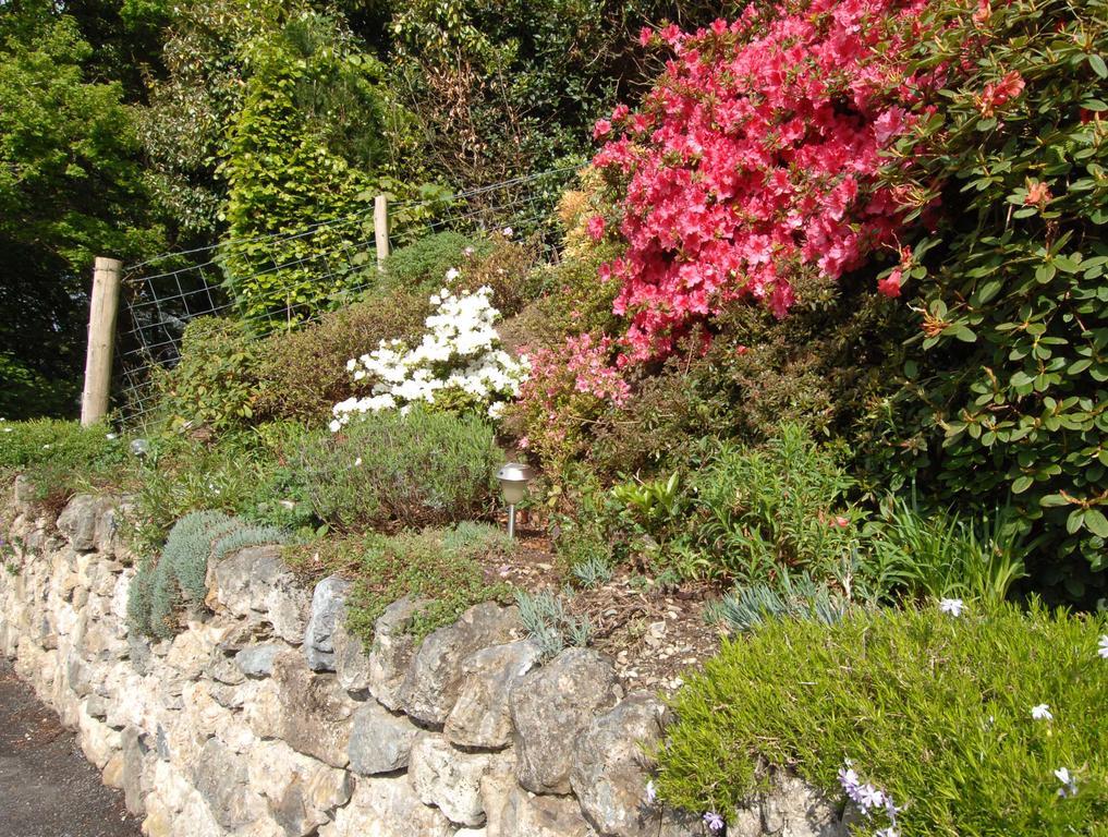 Dwy Olwyn Hotel Dolgellau Luaran gambar