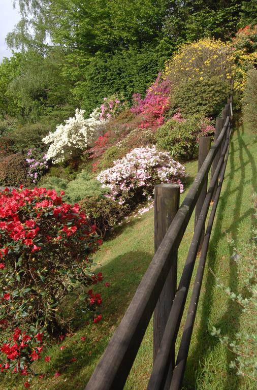 Dwy Olwyn Hotel Dolgellau Luaran gambar