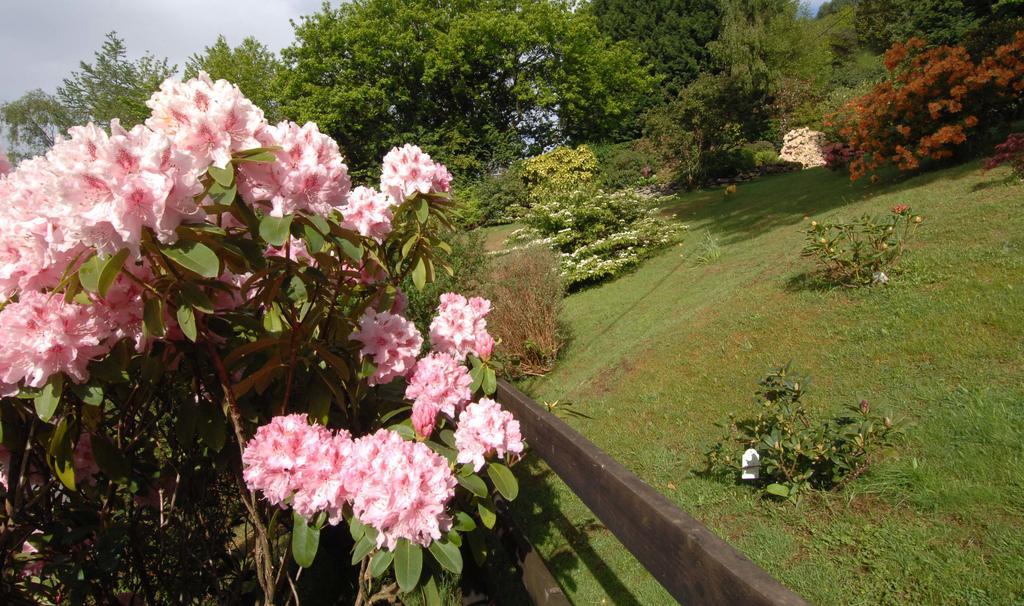 Dwy Olwyn Hotel Dolgellau Luaran gambar