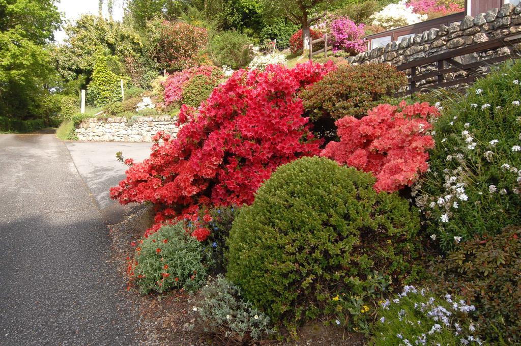 Dwy Olwyn Hotel Dolgellau Luaran gambar