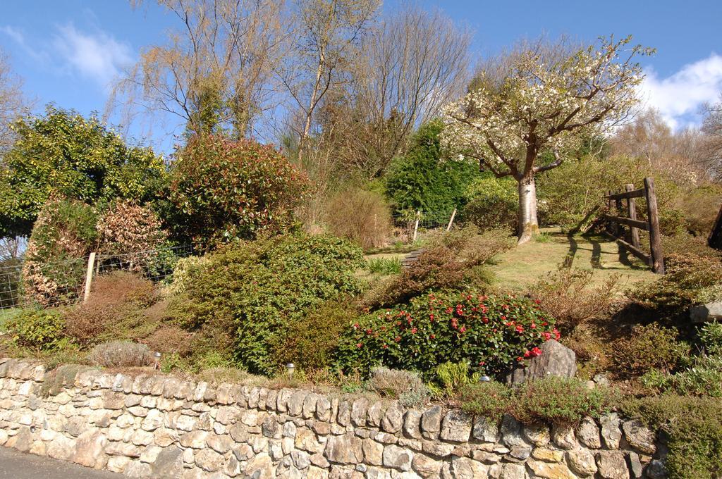 Dwy Olwyn Hotel Dolgellau Luaran gambar